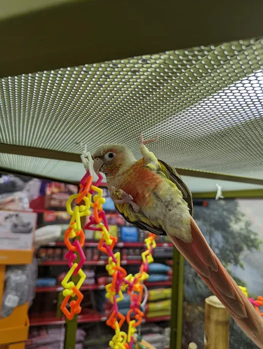 Petco Picture 9