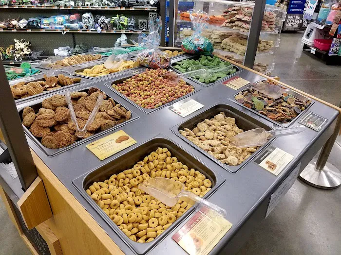 Petco Picture 3