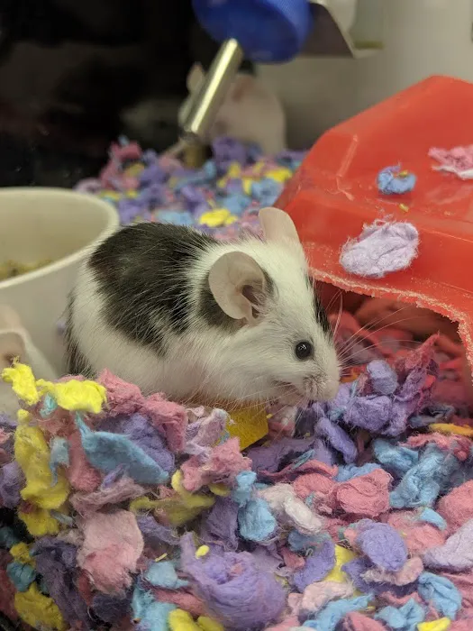 Petco Picture 2
