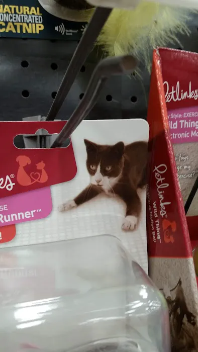 Petco Picture 1