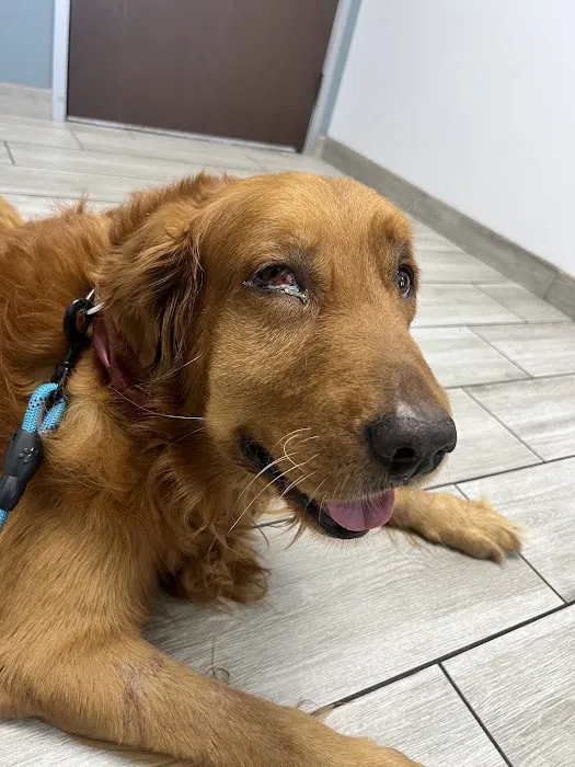 Jurupa Hills Animal Hospital Picture 1