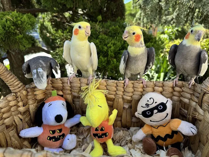 BirdsByUs Picture 6