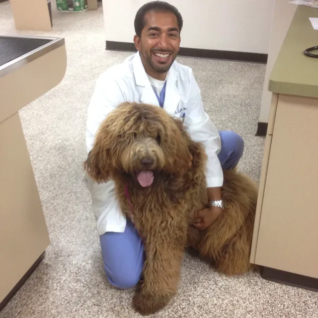 Prestige Animal Hospital - South Fontana Picture 8