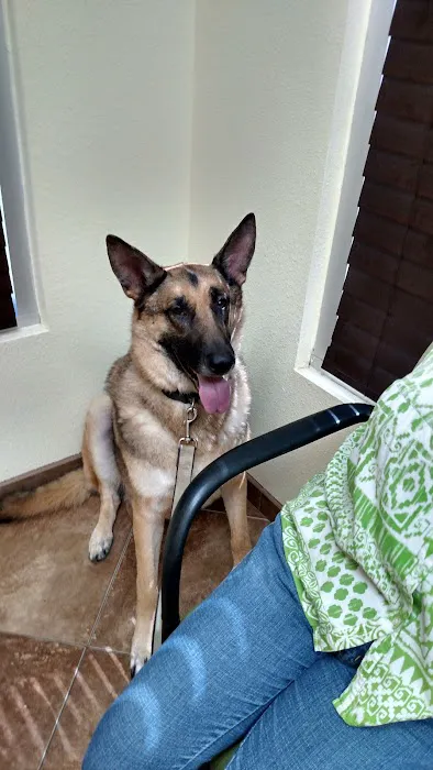 Prestige Animal Hospital - South Fontana Picture 4