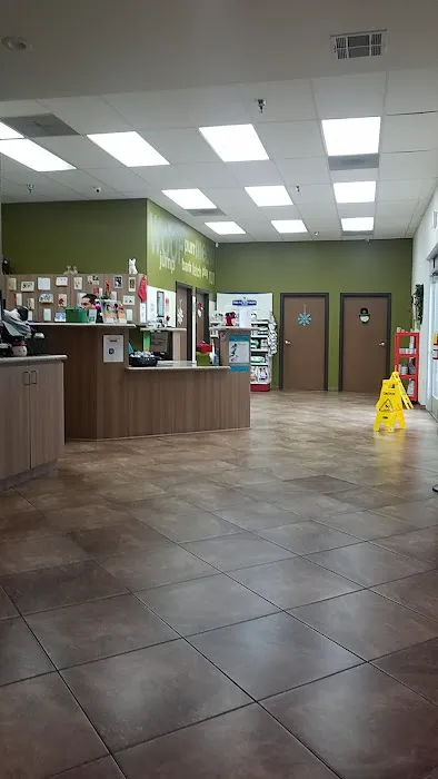 Prestige Animal Hospital - South Fontana Picture 3