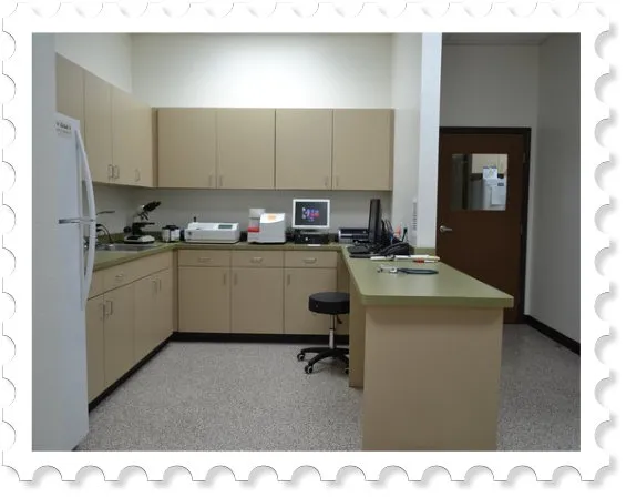 Prestige Animal Hospital - South Fontana Picture 6