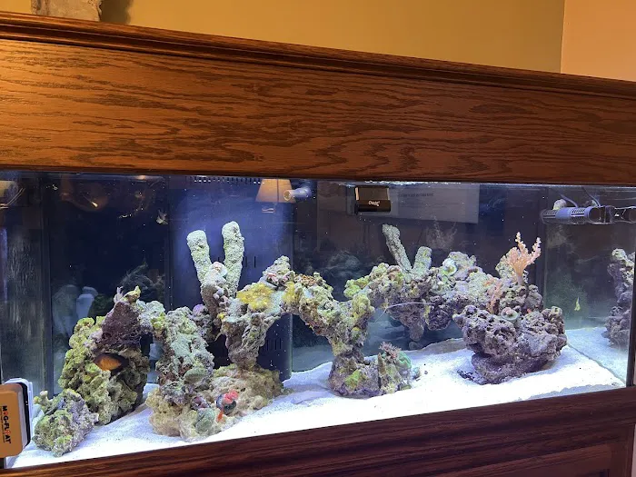 Aquaridise Picture 6