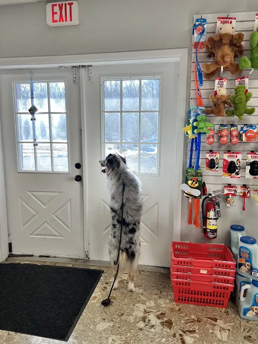 Precious Paws Pet Food & Supplies LLC Picture 3
