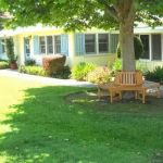Riverside Cat Hospital