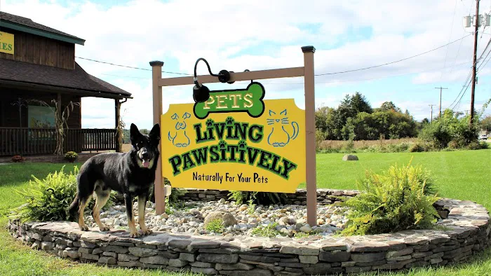 Living Pawsitively Picture 9