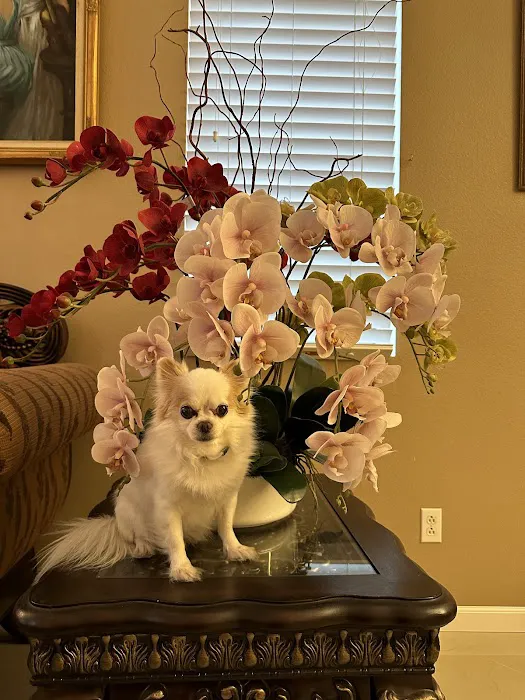 Animal Hospital of Riverside Picture 9