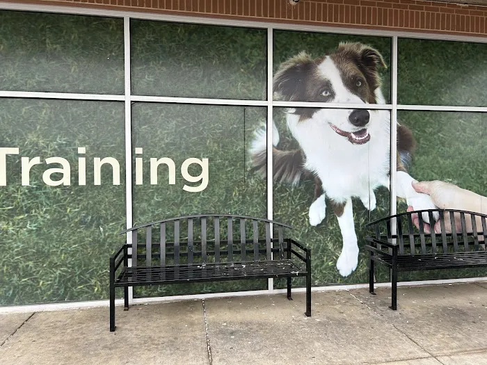 Petco Picture 10