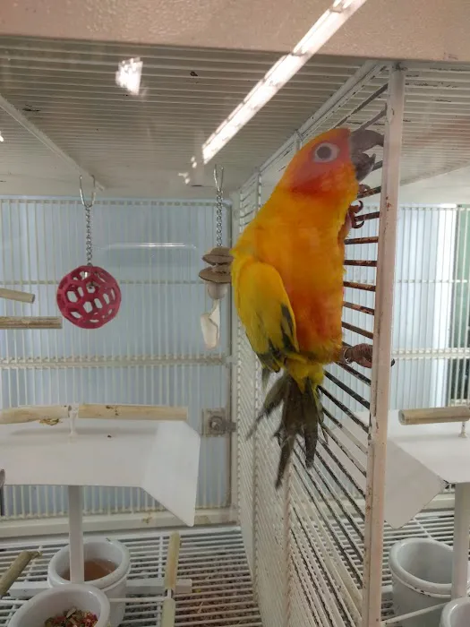 Petco Picture 1