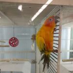 Petco