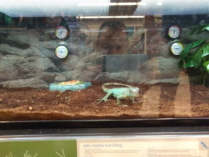 Petco Picture 5