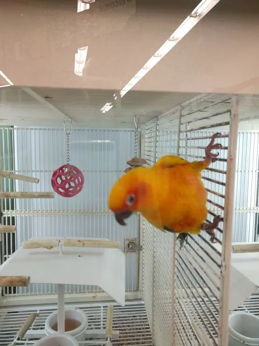 Petco Picture 6