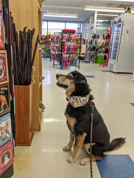 Weber's Pet Supermarket Picture 1