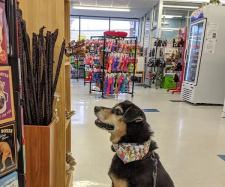 Weber's Pet Supermarket