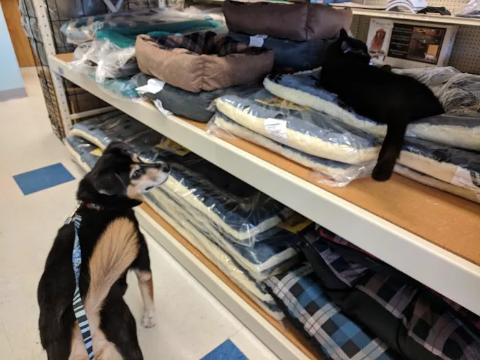 Weber's Pet Supermarket Picture 2