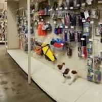 Weber's Pet Supermarket ico