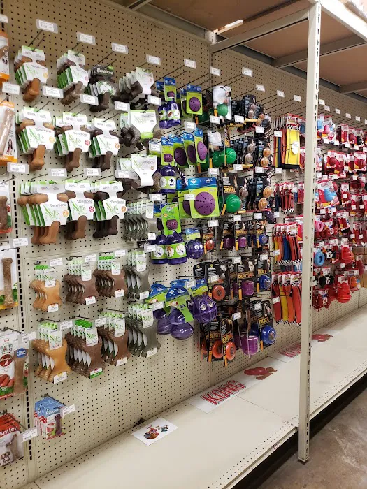 Weber's Pet Supermarket Picture 6