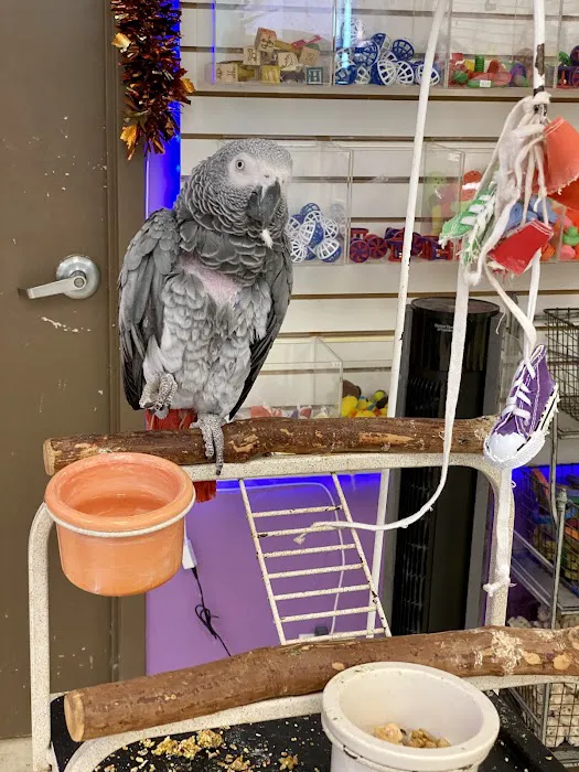 TC Feathers Aviary Picture 1