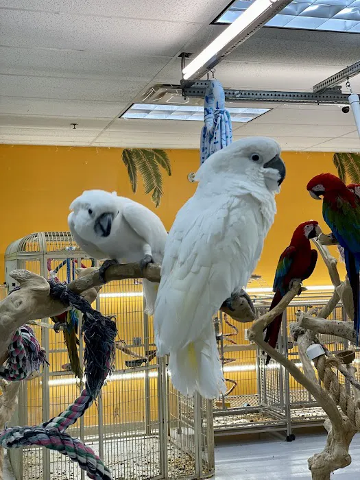 TC Feathers Aviary Picture 6