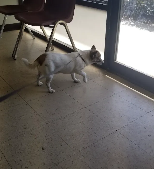 Van Buren Animal Hospital Picture 5