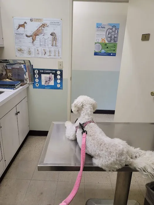 Van Buren Animal Hospital Picture 10