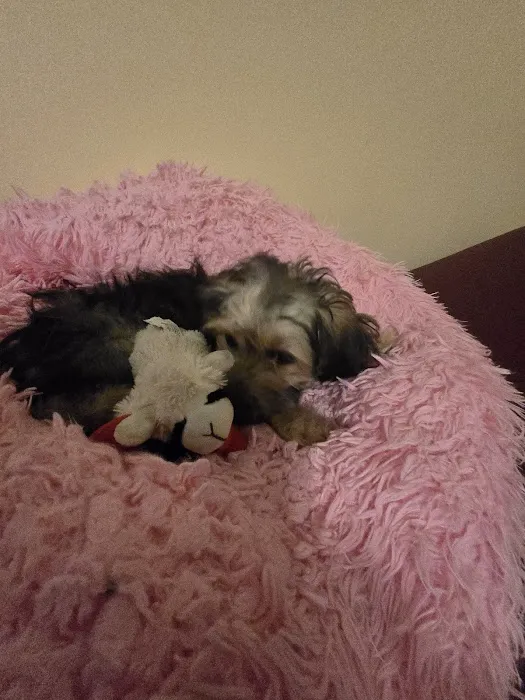 Van Buren Animal Hospital Picture 8