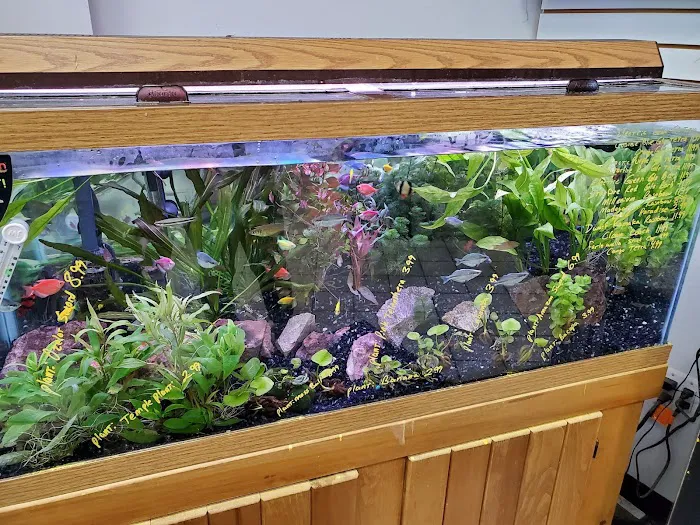 Centreville Aquarium Picture 2