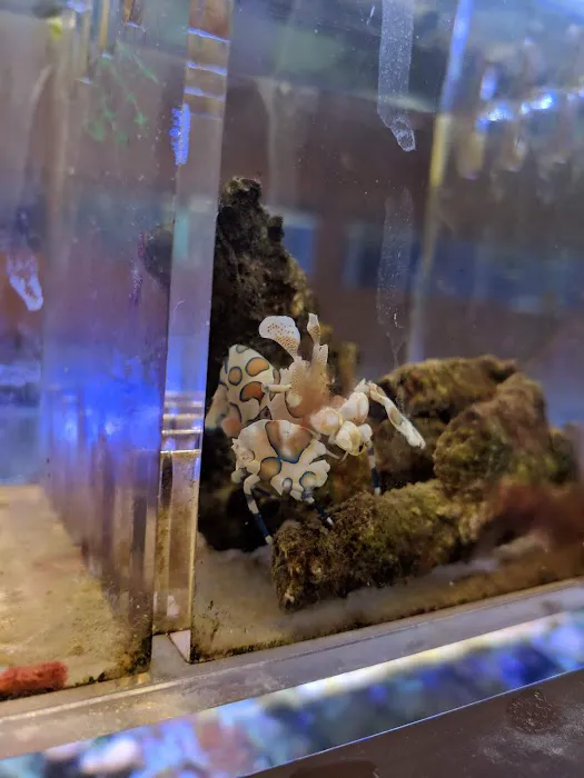 Centreville Aquarium Picture 1
