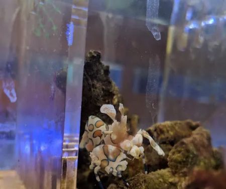 Centreville Aquarium