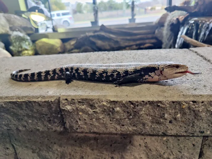Appalachian Reptiles & Aquatics Picture 1