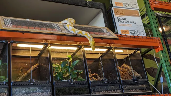 Appalachian Reptiles & Aquatics Picture 2