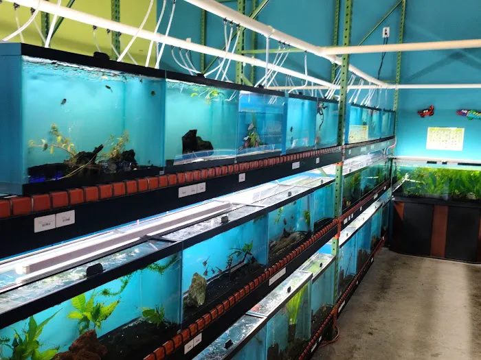 Appalachian Reptiles & Aquatics Picture 4