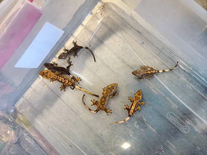 Appalachian Reptiles & Aquatics Picture 5
