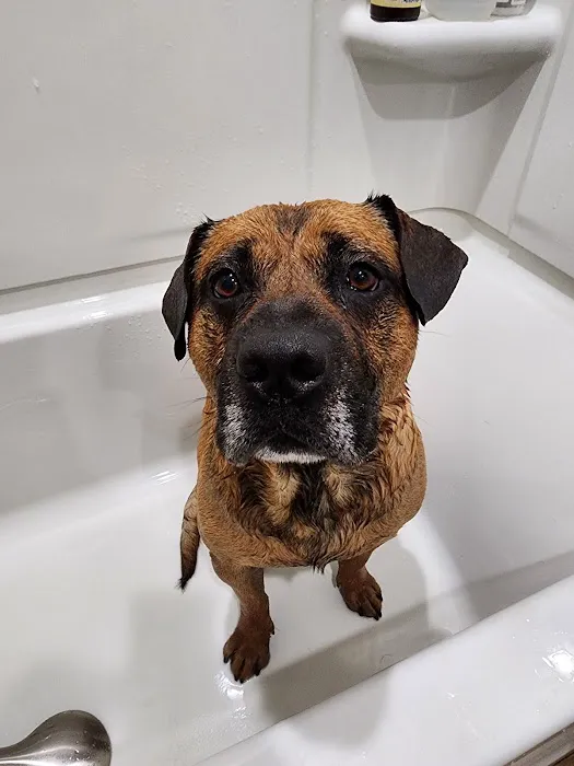 SoCal Animal Hospital Picture 8