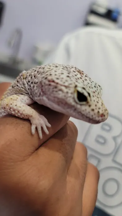 SoCal Animal Hospital Picture 5