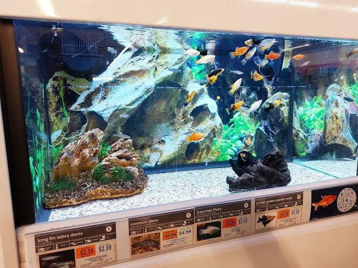 Petco Picture 6
