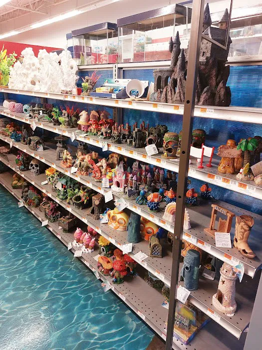 Petco Picture 7