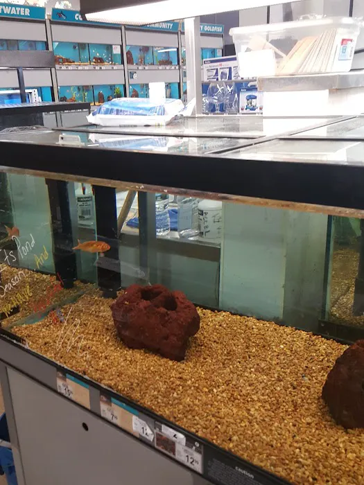 Petco Picture 5