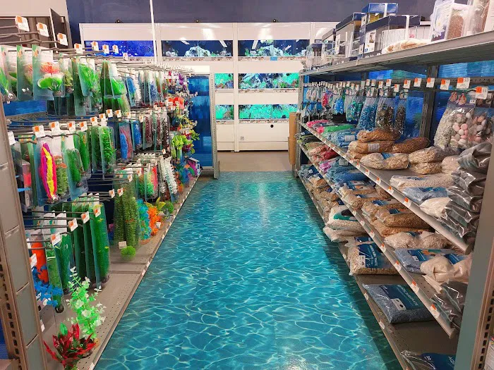 Petco Picture 4