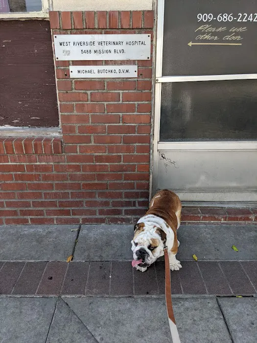 West Riverside Veterinary Hospital Picture 5