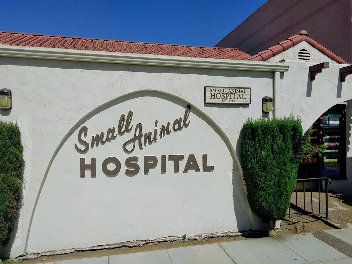 Small Animal Hospital Picture 2
