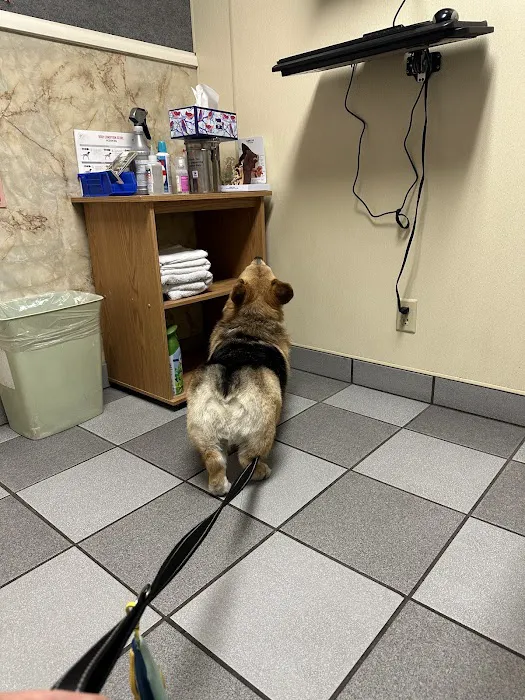 Small Animal Hospital Picture 10