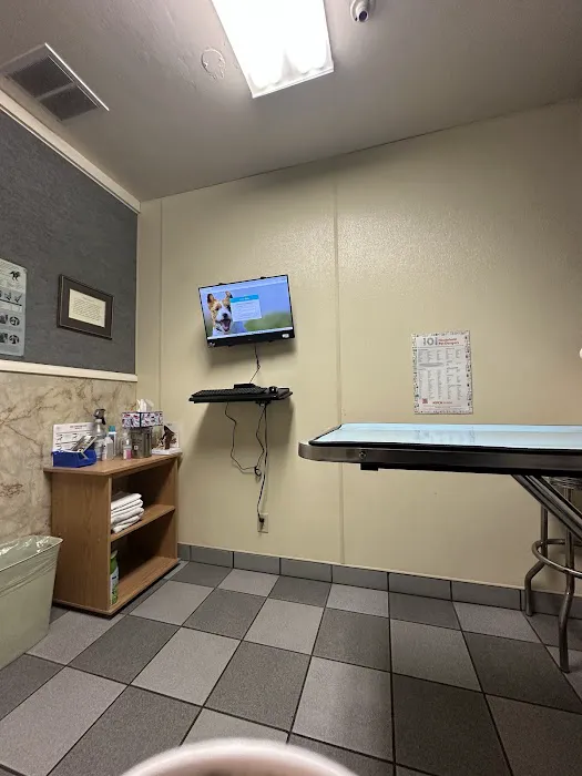 Small Animal Hospital Picture 9