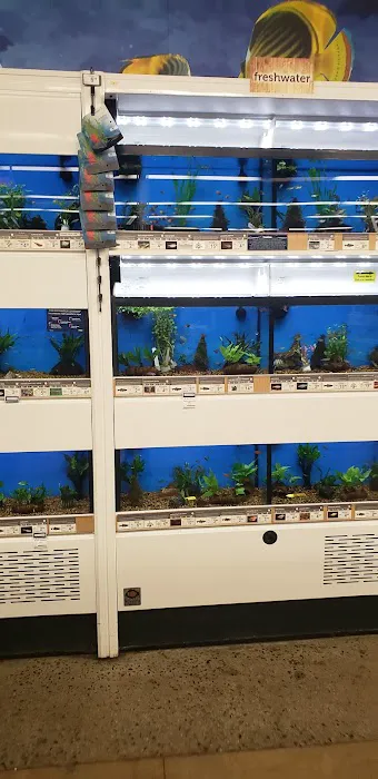 Petco Picture 2