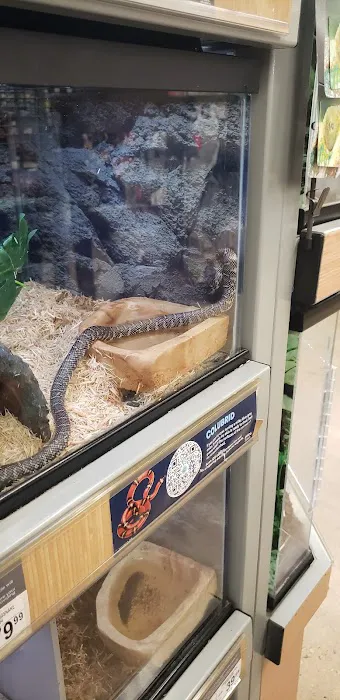 Petco Picture 5