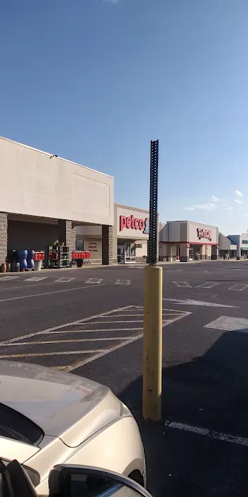 Petco Picture 7